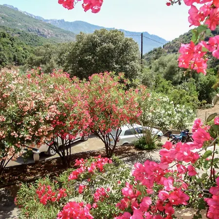 Cabanaccia 3 Pieces 6 Pers-3 By Interhome Apartment