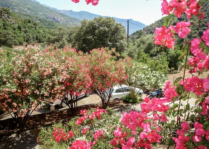 Cabanaccia 3 Pieces 6 Pers-3 By Interhome 公寓